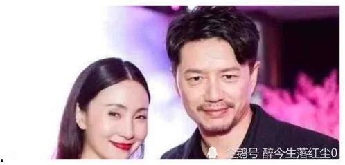 娱乐圈明星在线吃瓜小说,明星们的“瓜田”盛宴